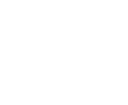 Evolution games at Big Dollar Casino
